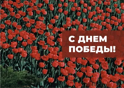 Девчоночки мои и дорогие мужчины с первым днём Весны Вас! Пусть каждое утро  с… | Теплый ДОМИК в Яковлево | Дзен