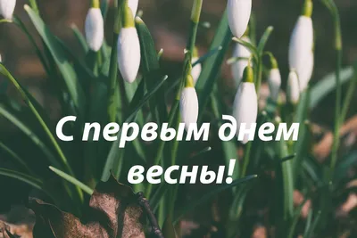 25 необычных картинок «С Первым днем весны!» – Блог Canva