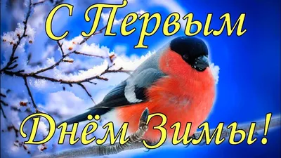 Первый день зимы: Лучшие открытки, картинки, фото - Афиша bigmir)net