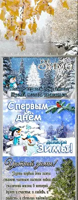 Открытки с первым днем зимы, поздравления в стихах, прозе, приколы — Разное