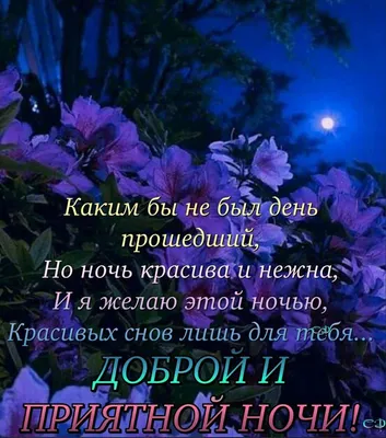 Зимние картинки \"Спокойной ночи!\" (183 шт.)