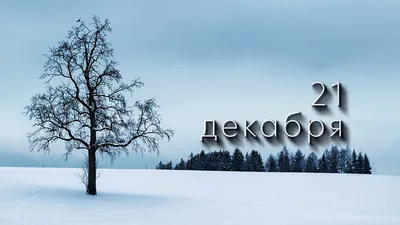 Какой сегодня праздник: 7 ноября - РИА Новости Крым, 07.11.2022