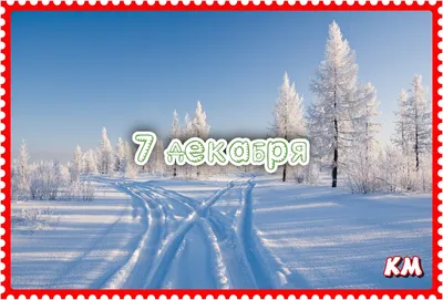 Открытка с днем рождения с приколом Жаль, что сегодня не мой праздник  веселая и милая - купить с доставкой в интернет-магазине OZON (920880570)