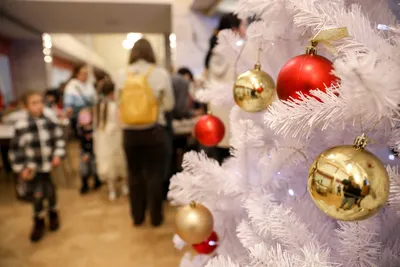 https://kherson-news.ru/society/2024/01/12/256132.html