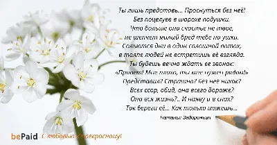 С праздником, дорогие коллеги! — Республиканский портал государственной  службы и кадров