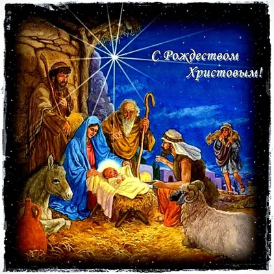 Поздравляем с Рождеством! – Школа-сад «Развитие»