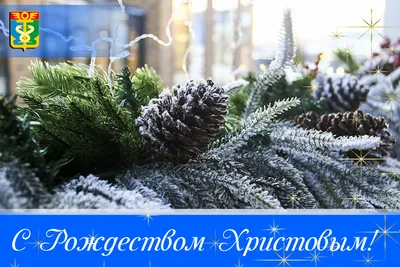 Купить Открытка одинарная 7x10: С Новым Годом и Рождеством Христовым! в  христианском интернет-магазине Время благодати