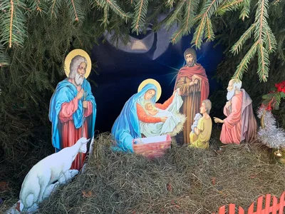 Счастливого Рождества! | Пикабу