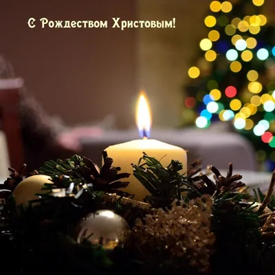 Набор открытка + закладка - С Рождеством и Новым годом - христианские  сувениры и подарки - Издательский Дом Христофор