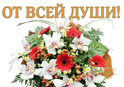 В преддверии праздника проявили уважение к ветеранам отрасли | Uztelecom.uz