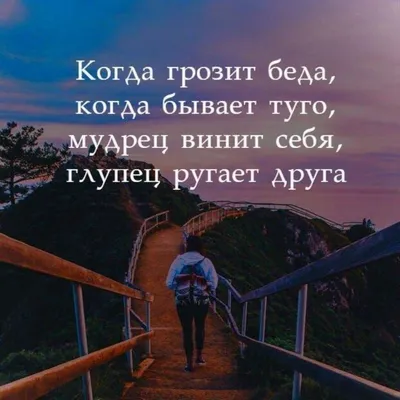 Скрытый смысл жизни, цитаты
