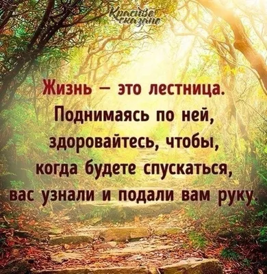 Короткие цитаты про жизнь с глубоким смыслом - картинки – Люкс ФМ