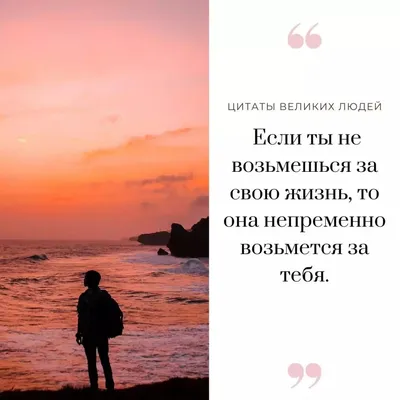 Золотая мудрость. Цитаты о жизни, здоровье, гармонии - купить книгу с  доставкой в интернет-магазине «Читай-город». ISBN: 978-5-17-159715-3