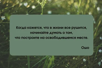 Мудрые цитаты и афоризмы в картинках (60 картинок) | Цитаты, Мудрые цитаты,  Жизненные поговорки