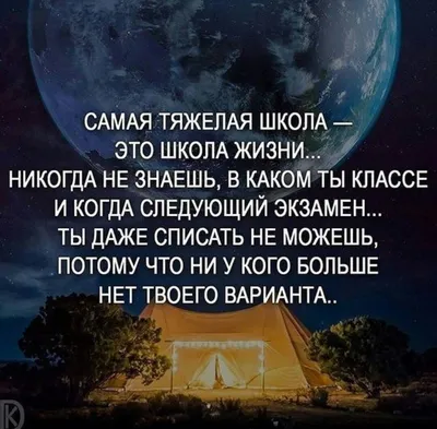Цитаты Квентина Тарантино о кино, жизни и здравом смысле