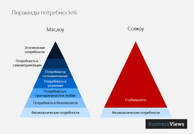 Мудрые цитаты со смыслом в красивом оформлении — Canva