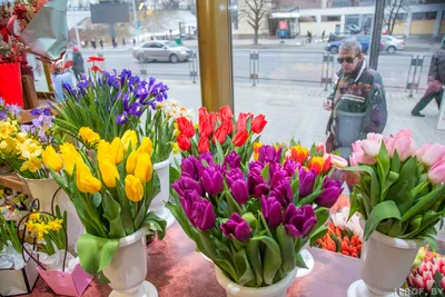 Популярные цветы на 8 марта — какие цветы самые популярные для мамы, жены,  дочки