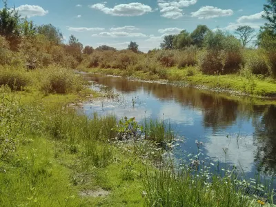 А в природі вже пахне весною, Аромат... - Типовий Кременець | Facebook