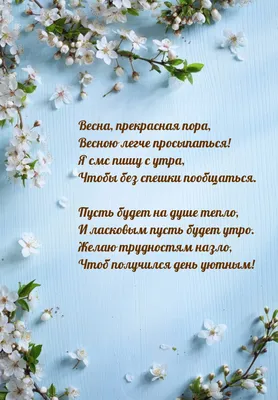 Черемуха душистая с весною расцвела. С.Есенин. :: Татьяна Помогалова –  Социальная сеть ФотоКто