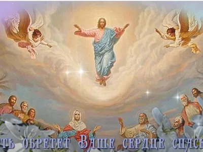 С Вознесением Господним! 🙏 25 Мая - Вознесение Господне! 🌺Самое крас... |  TikTok