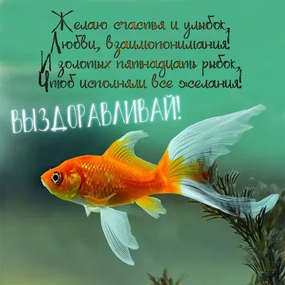 Шаблоны открыток Выздоравливай бесплатно | Canva