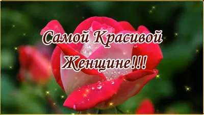 Открытки \"Самой красивой девушке на свете!\" (100 фото) 🔥 Прикольные  картинки и юмор