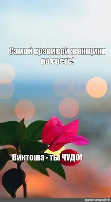 Smile юмор приколы added a new photo. - Smile юмор приколы