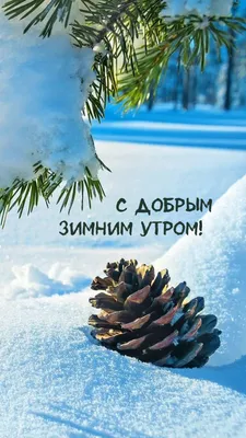 Оксана Половиченко | Доброго зимнего утра, дня! | Дзен