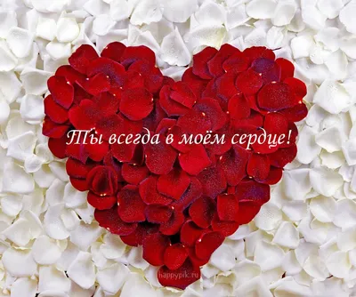 Обои сердце, День Святого Валентина, красный цвет, любовь, иллюстрация  картинки, фото | День святого валентина, Обои, Влюбленные