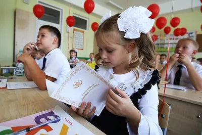 Минпросвещения: Школы не должны требовать лишних справок при приеме в 1  класс - Российская газета