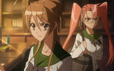 Highschool of the Dead / Аниме