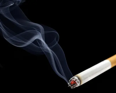 Обзор сигарет «Премьер» из Белоруссии | Записки про табак | Дзен