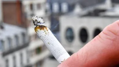 Из чего делают фильтры сигарет? Соусы для сигарет, сигареты с кнопкой,  сигареты с ментолом — CMT Научный подход