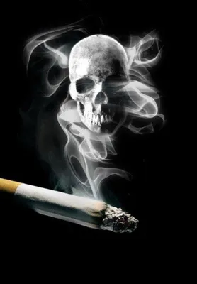 Более 200 марок сигарет подорожают с 1 июля в Беларуси - 28.06.2023,  Sputnik Беларусь