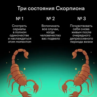 Скорпионы атаковали жителей южного Казахстана