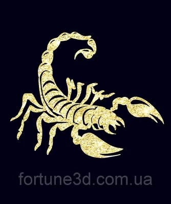 Бутафорский скелет Скорпиона купить за 300 грн. в Fancydress