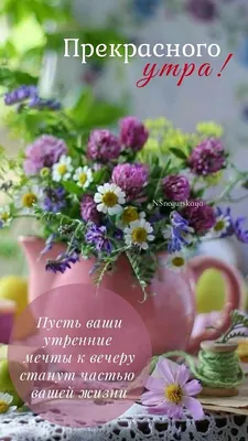 Акафист благодарственный \"Слава Богу за все\" - купить книгу в магазине  Благозвонница 978-985-7102-46-4, 978-985-6914-62-4