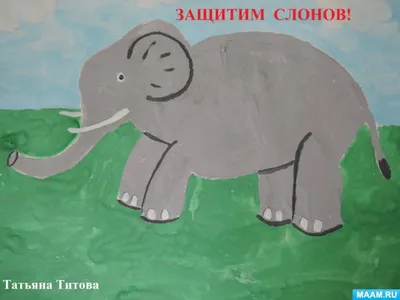 Советы от слона - постер - купить в интернет-магазине