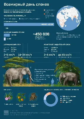 799 092 рез. по запросу «Elephants» — изображения, стоковые фотографии,  трехмерные объекты и векторная графика | Shutterstock