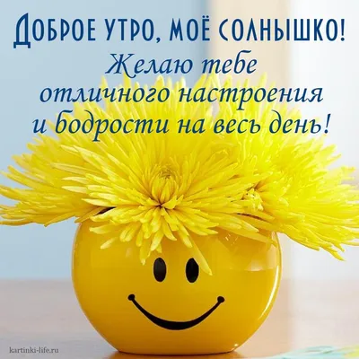 Доброе 😙💗😄💗😉 Утро! | Цитаты сына, Смешные открытки, Смешные смайлики