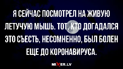 Анекдоты на вечер субботы и кому пришло в голову есть летучую мышь? |  Mixnews