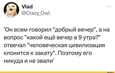 Vlad @Crazy_Owl 'Он всем говорил \"добрый вечер\", а на вопрос \"какой ещё  вечер в 9 утра?\" отвечал / twitter :: добрый вечер :: текст на белом фоне  :: интернет / смешные картинки