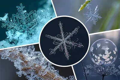 иллюстрации снежинок, рисунок снежинки, снежинка, граница, симметрия,  снежинки png | PNGWing