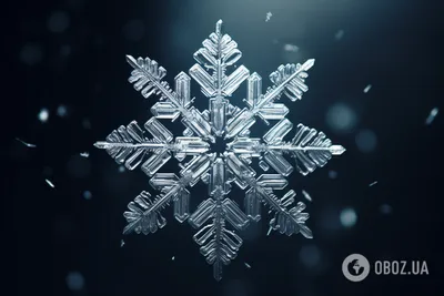 Новогодние снежинки - создаем атмосферу волшебной сказки в вашем доме  вместе с eli.ru