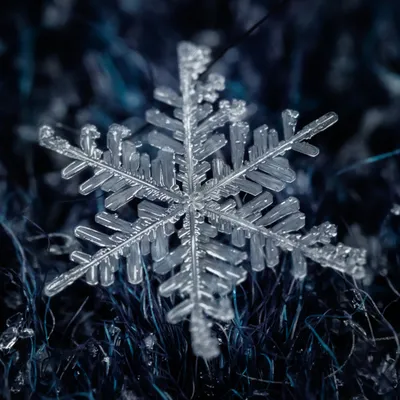 Несколько разных видов снежинок. снежинки разных форм на прозрачном картины  на стену • картины звездочка, кристаллический, плед | myloview.ru