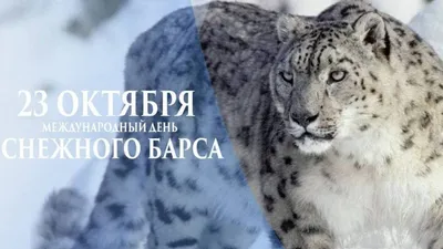 Купити Ирбис.Котенок снежного барса из шерсти. | Skrynya.ua