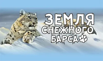 Нос, хвост, лапы и шуба снежного барса позволяют ему выживать там, где  другие хищники жить не могут | Пикабу