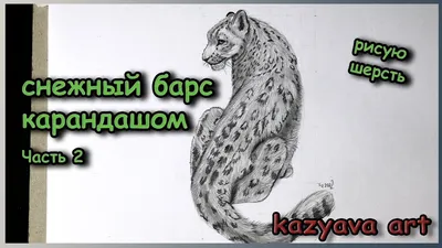 Экологический марафон \"Тропой снежного барса\"