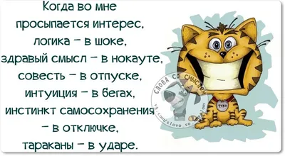 Смешные фразы и афоризмы со смыслом: 50+ высказываний