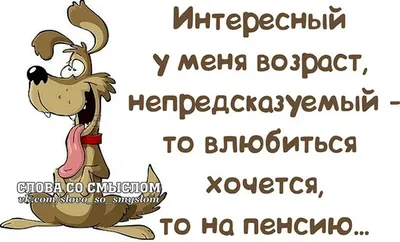 Слова со смыслом - Сайт slovasosmislom! | Смешные открытки, Цитаты,  Новогодние цитаты